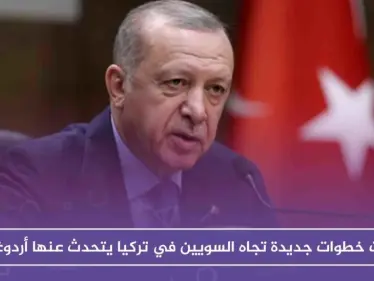 ثلاث خطوات جديدة تجاه السويين في تركيا يتحدث عنها أردوغان - وكالة ستيب نيوز