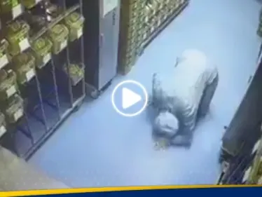 بالفيديو|| مطاردة بين عالمة وفأر تجارب يحمل "فيروسات قاتلة" داخل مختبر صيني - وكالة ستيب نيوز