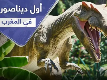 عاش في أنهار المغرب.. اكتشاف أول ديناصور مائي في العالم - وكالة ستيب نيوز