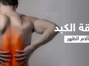 هل الكبد يسبب ألم الظهر وما هي الأعضاء الداخلية الأخرى التي تؤدي إلى ذلك - وكالة ستيب نيوز