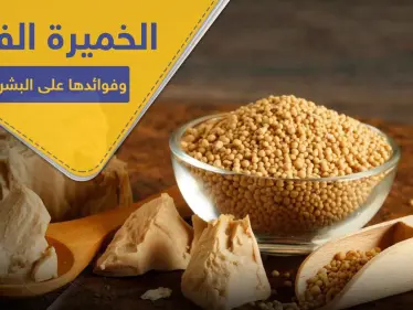 فوائد جماليّة مذهلة للخميرة الفورية على البشرة.. خلطات بسيطة ونتائج فعالة - وكالة ستيب نيوز