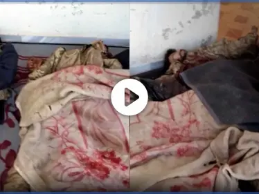 عملية تسلل مباغتة لقوات النظام السوري على جبهة سهل الغاب توقع 11 قتيلاً بالمعارضة -فيديو - وكالة ستيب نيوز