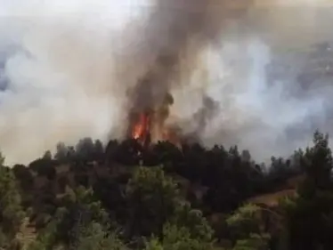 حريق في الأردن يتلف 1200 دونم من الأراضي الحراجية والدفاع المدني يوضح - وكالة ستيب نيوز