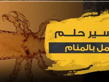تفسير حلم القمل عند ابن سيرين وعدد من المفسرين - وكالة ستيب نيوز