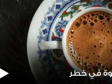 القهوة في خطر.. علماء أمريكيون يطلقون تحذيراً هاماً لعشاقها حول العالم - وكالة ستيب نيوز