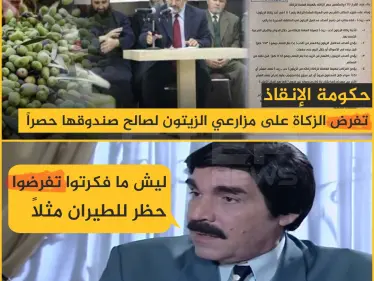 حكومة الإنقاذ الزكاة تفرض الزكاة على مزارعي الزيتون لصالح صندوقها حصراً - وكالة ستيب نيوز