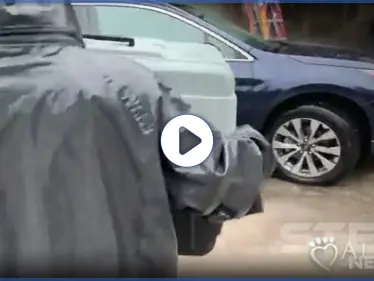 بالفيديو || ضحايا ودمار في إعصار سالي الذي ضرب الولايات المتحدة - وكالة ستيب نيوز