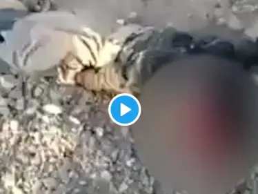 بالفيديو|| ميليشيا الحوثي تقتل طفلاً أثناء إحضاره الماء لأسرته.. والإرياني يكشف حصيلة استهداف منزل زعيم قبلي - وكالة ستيب نيوز