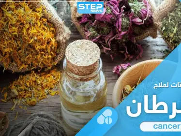 أعشاب ونباتات مستعملة في علاج مرض السرطان وأخرى يحذّر منها - وكالة ستيب نيوز
