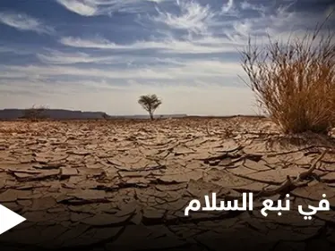 أزمة وقود تعطّل الأفران وتهدد محاصيل زراعية في مناطق "نبع السلام" شمال سوريا - وكالة ستيب نيوز