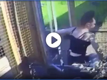 بالفيديو|| أسد جبلي ينقّض على فتاة دخلت قفصه ويدخلان بمعركة حياة أو موت - وكالة ستيب نيوز