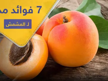7 فوائد مذهلة لـ المشمش.. بينها الحماية من السرطان - وكالة ستيب نيوز