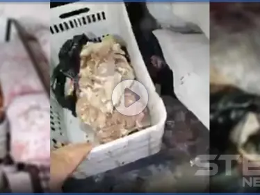 بالفيديو|| أكثر من 100 حالة تسمم غذائي في مدينة الباب خلال عيد الأضحى بسبب مطعم - وكالة ستيب نيوز