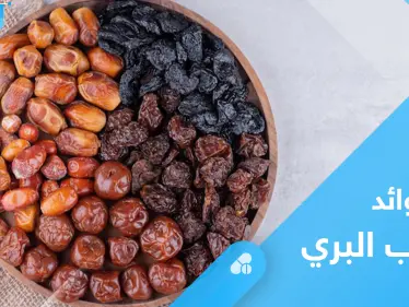 العناب البري.. فوائد صحية لا تحصى تعرف عليها - وكالة ستيب نيوز