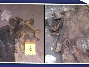 مقبرة جماعية بريف حلب جثثها مقطوعة الرؤوس منهم قيادي بارز في "صقور الشام"، فما قصتها!! - وكالة ستيب نيوز