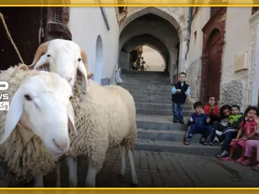 فلكياً.. هذا هو موعد عيد الأضحى المبارك - وكالة ستيب نيوز