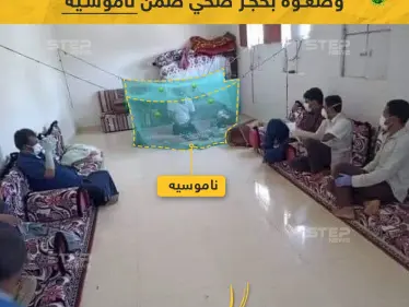 الحجر الصحي بالناموسية! - وكالة ستيب نيوز