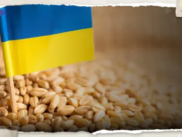 أوكرانيا تتفق مع جيرانها على ممر تجاري جديد لنقل الحبوب للعالم - وكالة ستيب نيوز