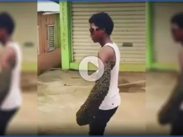 بالفيديو|| شاب ينقل مستعمرة نحل على يده بعد إلقاءه القبض على الملكة - وكالة ستيب نيوز