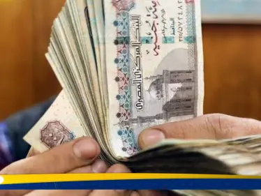 سعر الدولار مقابل الجنيه المصري في السوق السوداء.. مستمر في الارتفاع - وكالة ستيب نيوز