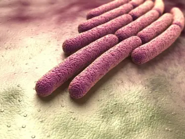 الأردن يعلن اكتشاف جرثومة معدية جداً تسببت بحالات تسمم في جرش ويؤكد السيطرة على الوضع - وكالة ستيب نيوز