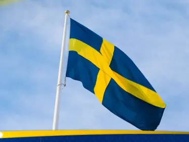 السويد تطور نظاماً مضاداً للطائرات المسيّرة لمواجهة تهديدات الـFPV - وكالة ستيب نيوز