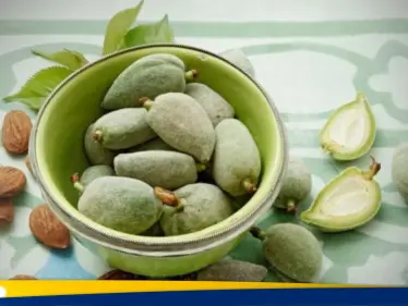 اللوز الأخضر: كنوز صحية في قشرة خضراء - وكالة ستيب نيوز