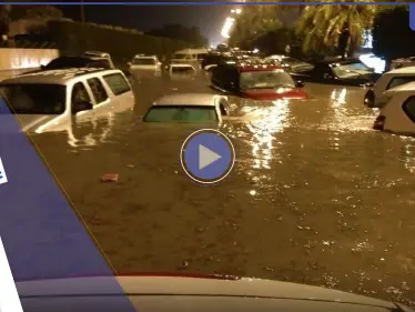 شاهد|| فيديو متداول لسيدة في الكويت: "والله ما يعرف لكم غير محمد بن سلمان".. وسعوديون يتفاعلون - وكالة ستيب نيوز