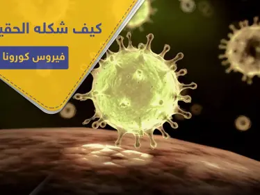 شاهد|| خالف الشكل الذي رسمناه له.. هكذا بدا كورونا بأول صورة تفصيلية - وكالة ستيب نيوز