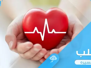 تفسير رؤية القلب في المنام عند المعبرين - وكالة ستيب نيوز