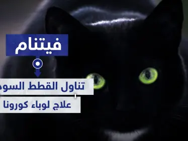 فيتنام تتجه لأكل القطط السوداء ظنًا أنها تعالج المصابين بفيروس كورونا - وكالة ستيب نيوز