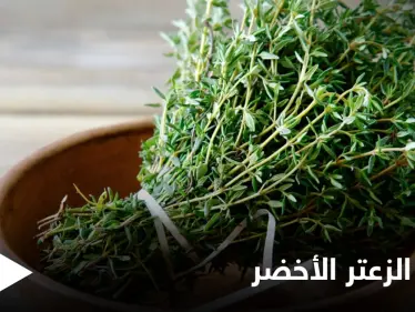 قد يؤدي إلى الإجهاض.. تعرف على مضار الزعتر الأخضر على المرأة الحامل - وكالة ستيب نيوز