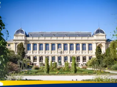 بسبب ثغرة أمنية.. سرقة ذهب بمئات آلاف الدولارات من متحف فرنسي - وكالة ستيب نيوز