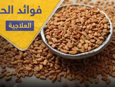 فوائد الحلبة للمرأة والمرضع ومحاربة الأمراض المزمنة ومنها السكري - وكالة ستيب نيوز