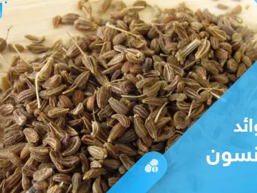 فوائد اليانسون على الريق.. معلومات عليك معرفتها - وكالة ستيب نيوز