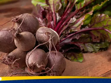 دراسة جديدة تكشف مفاجأة غذائية: الشمندر قد يعزز اللياقة مع التقدم في العمر - وكالة ستيب نيوز