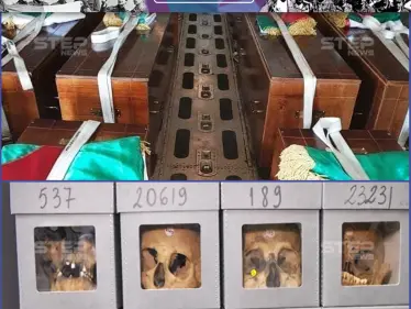 الجزائر تستعيد رفات مقاومين للاحتلال الفرنسي بعد 170 عام - وكالة ستيب نيوز