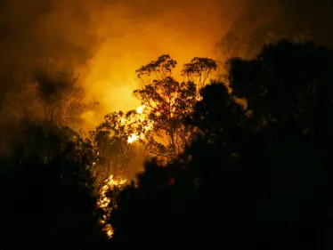 تونس.. موجة الحر تقتل 6 أشخاص وتُشعل مئات الحرائق - وكالة ستيب نيوز