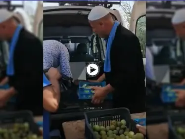 بالفيديو|| أنصار حزب الله يعتدون على باعة التين من بلدة شويا ويطردونه من مكان عمله - وكالة ستيب نيوز