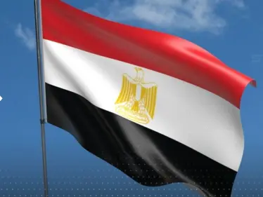 انتبهوا من هذه الألوان.. مصر تصدر تعليمات تتعلق بتصرفات تجذب القروش - وكالة ستيب نيوز