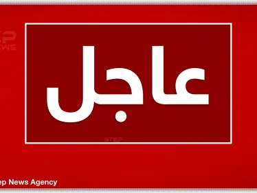 الدفاعات التركية تسقط طائرة حربية للنظام السوري وتصيب أخرى بأجواء إدلب - وكالة ستيب نيوز