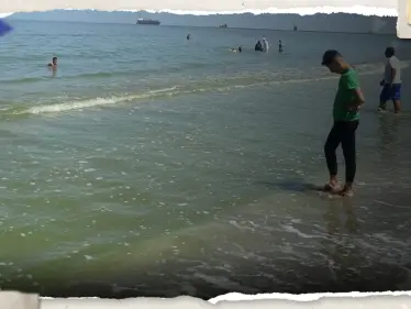 بالصور|| بعد الرائحة الكريهة في الأجواء.. ظاهرة غريبة في مصر تحول مياه البحر للون أخضر - وكالة ستيب نيوز