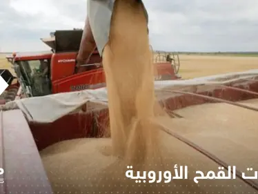 في موسم تظلله الحرب.. صادرات القمح الأوروبية تتحول إلى المغرب - وكالة ستيب نيوز