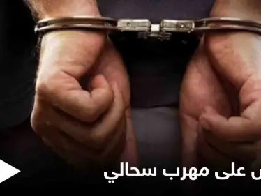 رجل يحاول تهريب 200 سحلية إلى مصر بطريقة غريبة - وكالة ستيب نيوز