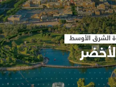 بن سلمان والسيسي يطلقان مبادرة الشرق الاوسط الأخضر وبن زايد يدعو لقمة المناخ المقبلة - وكالة ستيب نيوز