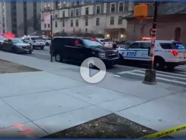 بالفيديو|| مسلح يفتح النار على فرقة موسيقية في نيويورك.. وإصابات بين مؤيدي ومعارضي ترامب بواشنطن - وكالة ستيب نيوز