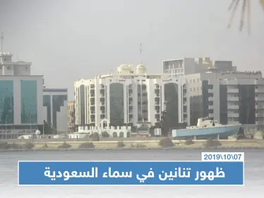 لن تصدق.. مشاهدة تنانين في سماء السعودية!! - وكالة ستيب نيوز