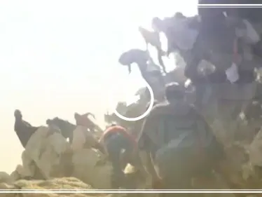 فيديو || بالرصاص الحي .. هيئة 