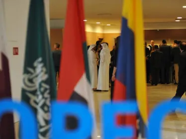 الإمارات تعلن معارضتها لاتفاق دولي بشأن النفط بشكل غير مسبوق وتوضح خطتها - وكالة ستيب نيوز