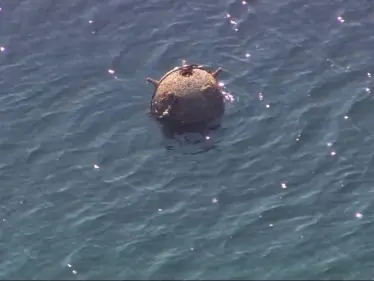 التحالف العربي يدمر لغماً بحرياً زرعته جماعة الحوثي في البحر الأحمر.. ويكشف دولة المنشأ - وكالة ستيب نيوز